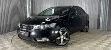 Cerato