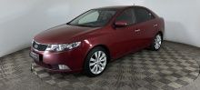 Cerato