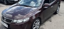 Cerato